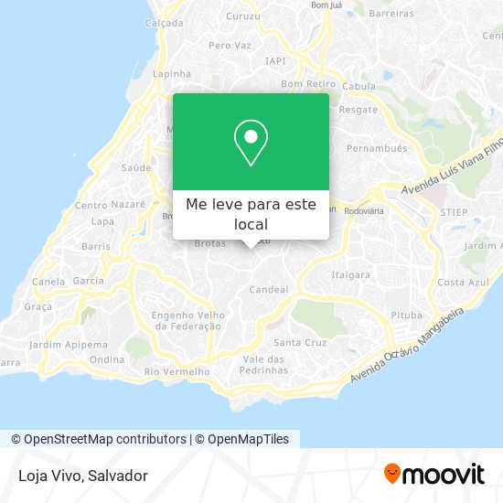 Loja Vivo mapa