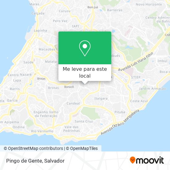 Pingo de Gente mapa