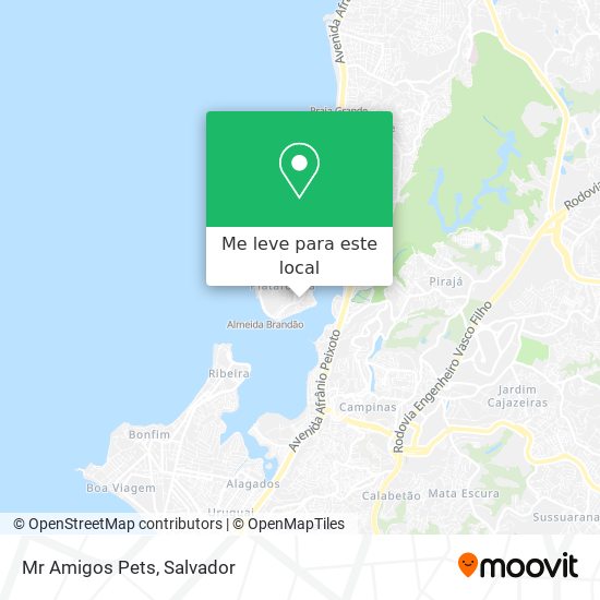 Mr Amigos Pets mapa