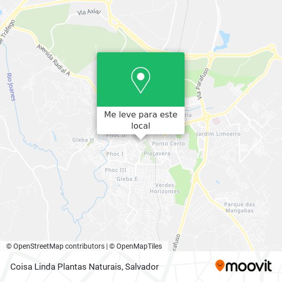 Coisa Linda Plantas Naturais mapa