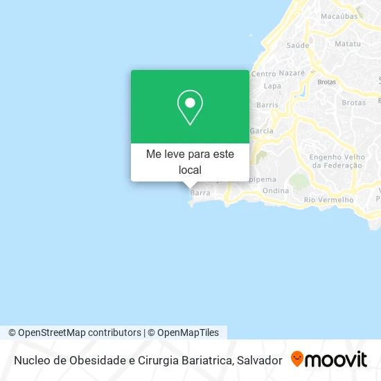 Nucleo de Obesidade e Cirurgia Bariatrica mapa