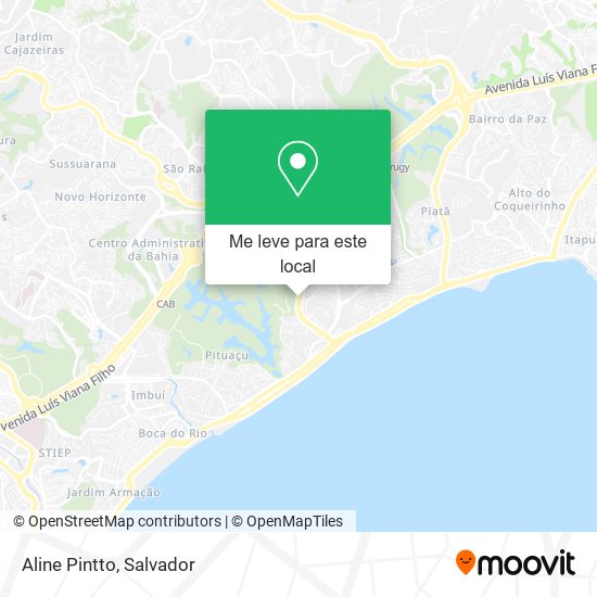 Aline Pintto mapa