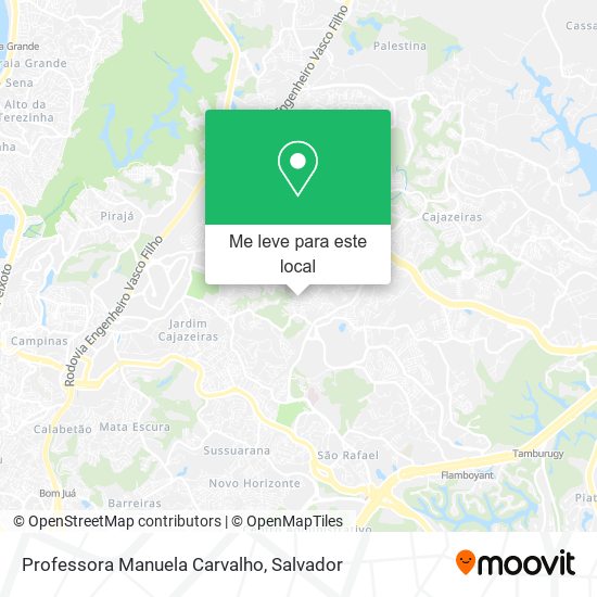 Professora Manuela Carvalho mapa