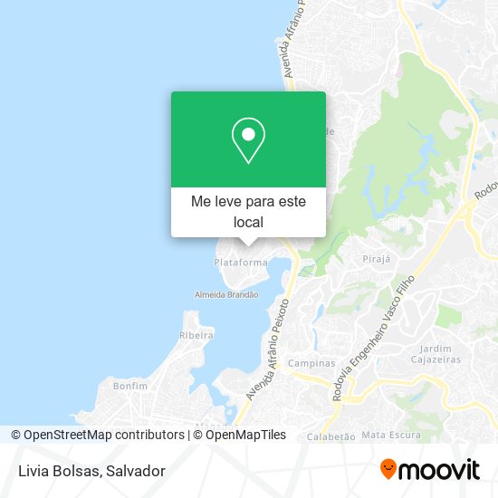 Livia Bolsas mapa