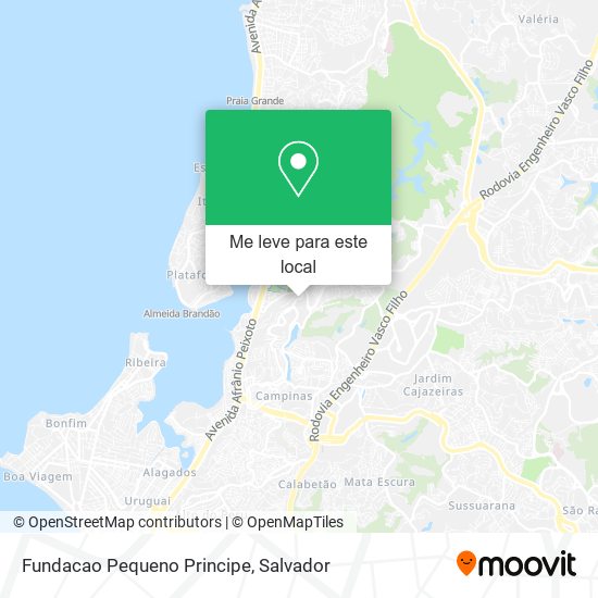 Fundacao Pequeno Principe mapa