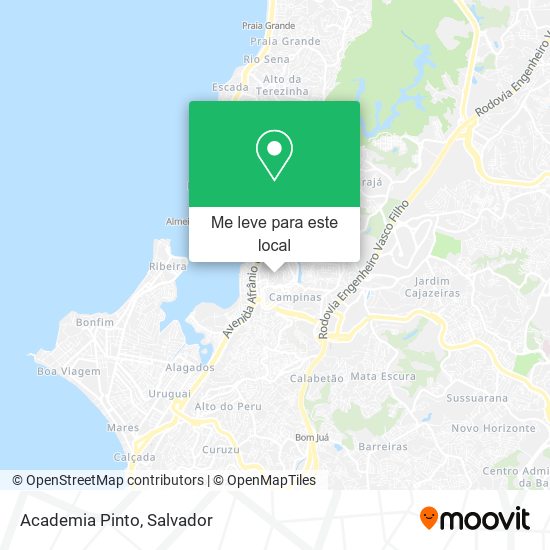 Academia Pinto mapa