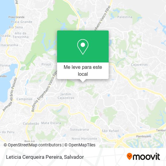 Leticia Cerqueira Pereira mapa