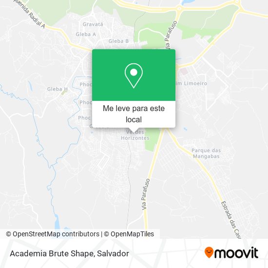 Academia Brute Shape mapa