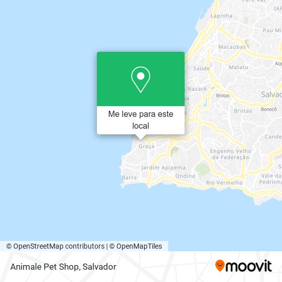 Animale Pet Shop mapa