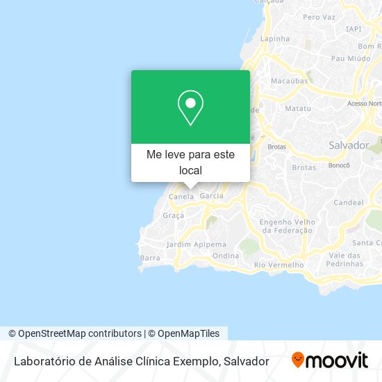 Laboratório de Análise Clínica Exemplo mapa