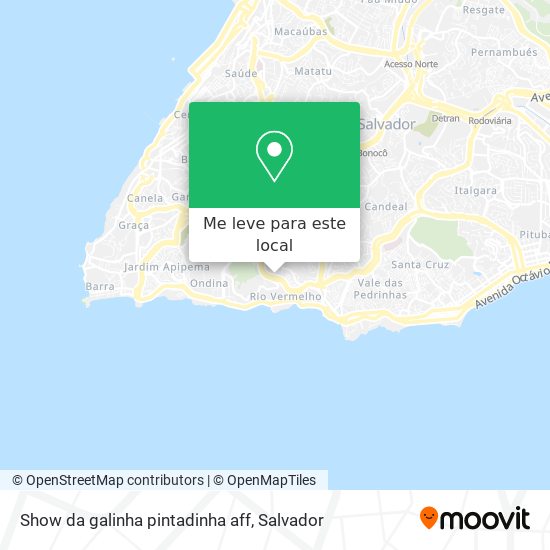 Show da galinha pintadinha aff mapa