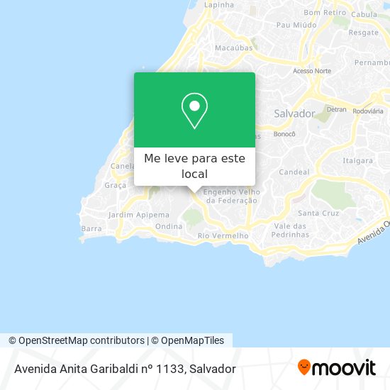 Avenida Anita Garibaldi nº 1133 mapa