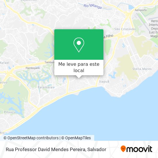 Rua Professor David Mendes Pereira mapa