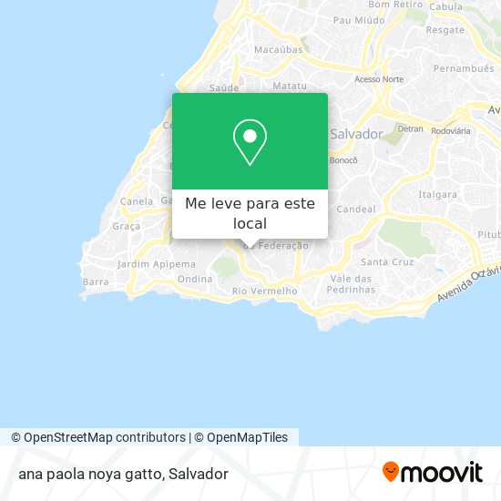 ana paola noya gatto mapa
