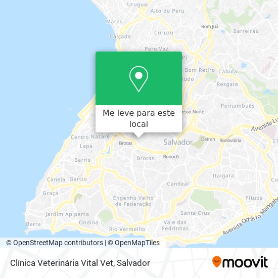 Clínica Veterinária Vital Vet mapa