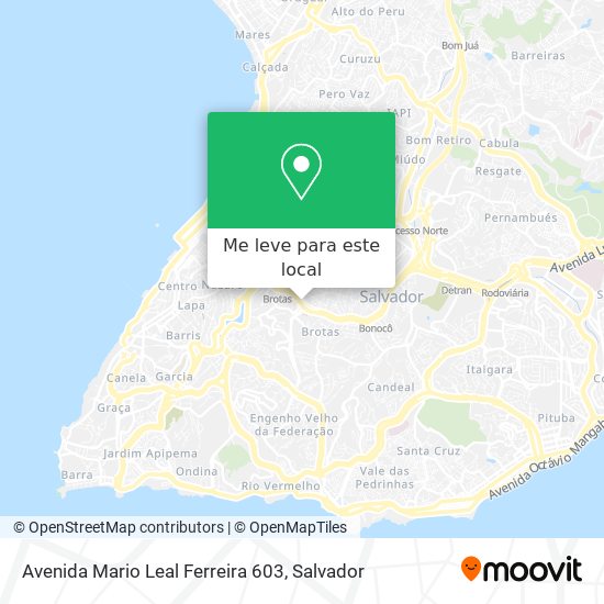 Avenida Mario Leal Ferreira 603 mapa