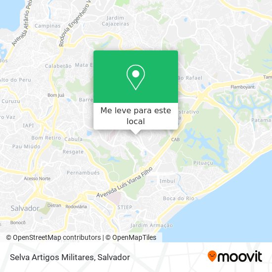 Selva Artigos Militares mapa