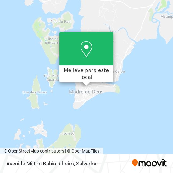 Avenida Milton Bahia Ribeiro mapa