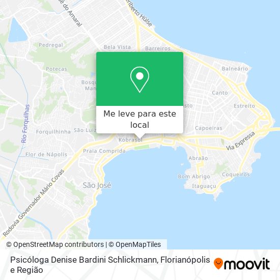 Psicóloga Denise Bardini Schlickmann mapa