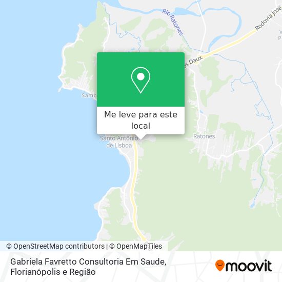 Gabriela Favretto Consultoria Em Saude mapa