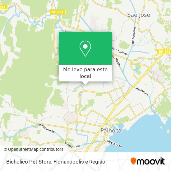 Bicholico Pet Store mapa