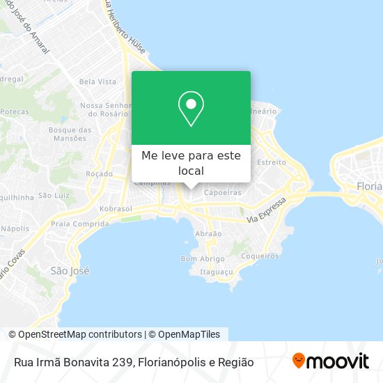 Rua Irmã Bonavita 239 mapa