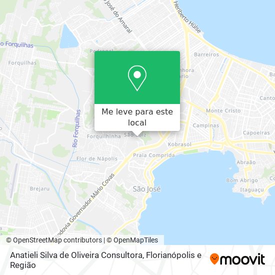 Anatieli Silva de Oliveira Consultora mapa
