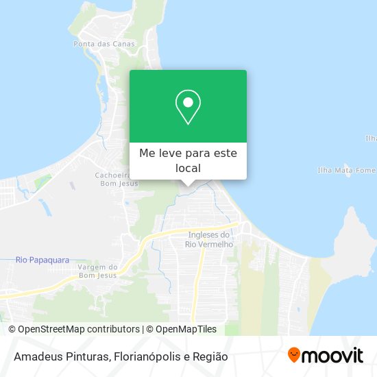 Amadeus Pinturas mapa