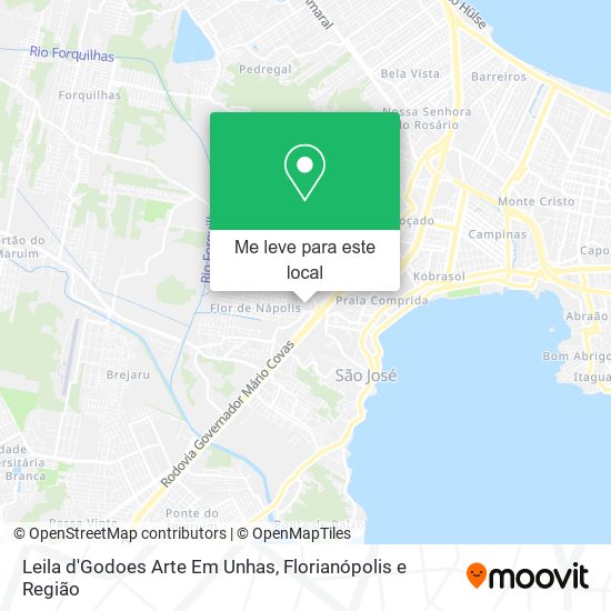 Leila d'Godoes Arte Em Unhas mapa