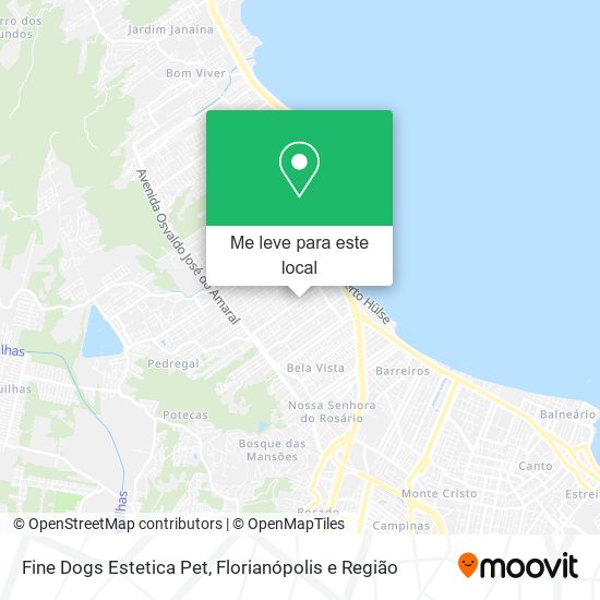 Fine Dogs Estetica Pet mapa