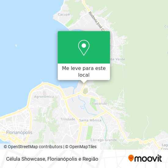 Célula Showcase mapa