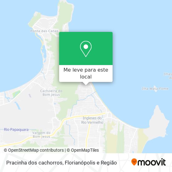 Pracinha dos cachorros mapa