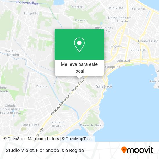 Studio Violet mapa