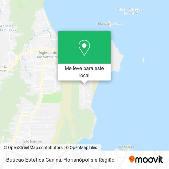 Buticão Estetica Canina mapa