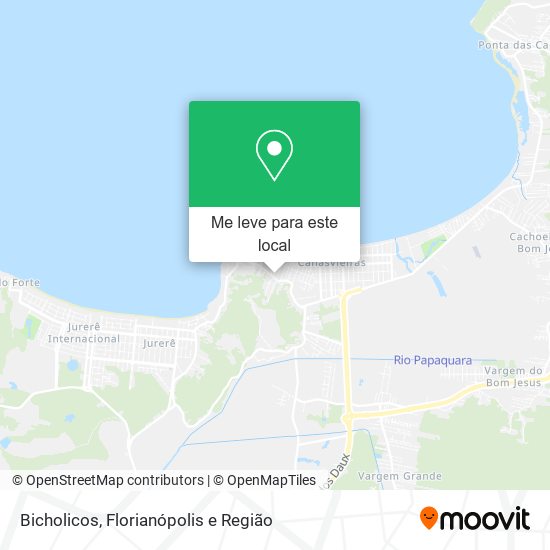 Bicholicos mapa