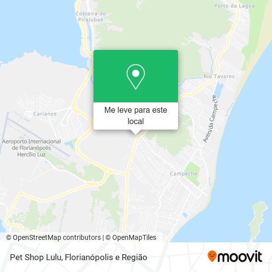 Pet Shop Lulu mapa