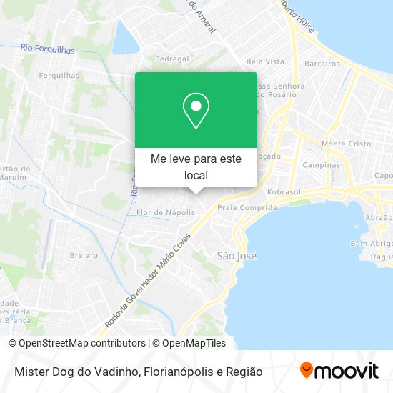 Mister Dog do Vadinho mapa