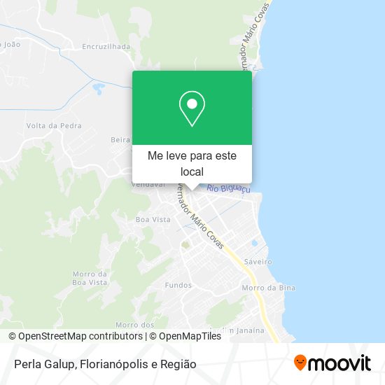Perla Galup mapa
