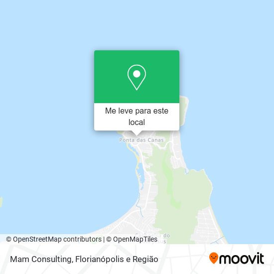 Mam Consulting mapa