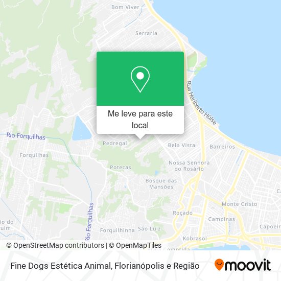 Fine Dogs Estética Animal mapa