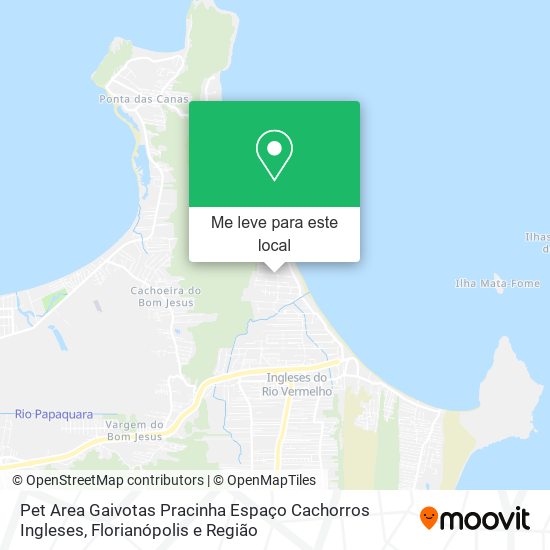 Pet Area Gaivotas Pracinha Espaço Cachorros Ingleses mapa