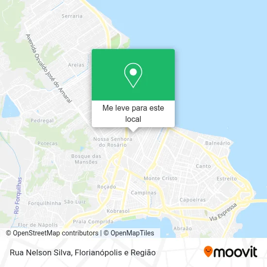 Rua Nelson Silva mapa