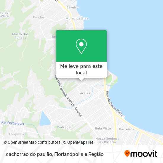 cachorrao do paulão mapa