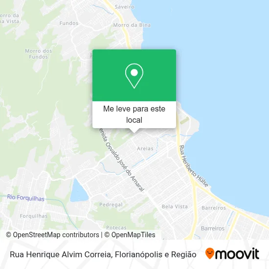 Rua Henrique Alvim Correia mapa