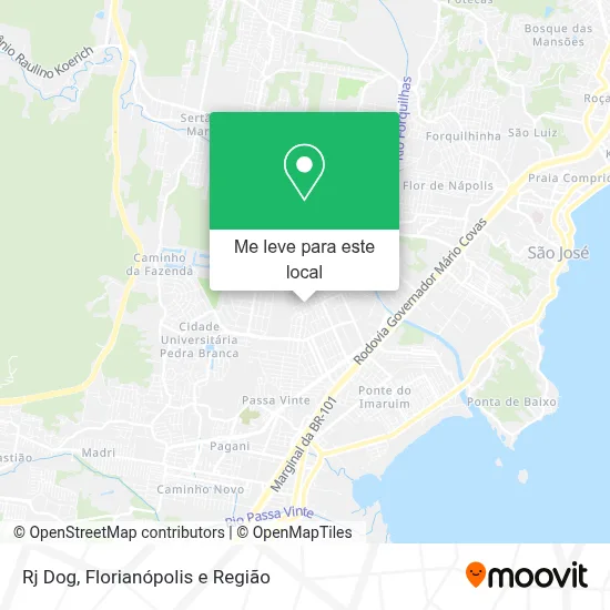 Rj Dog mapa