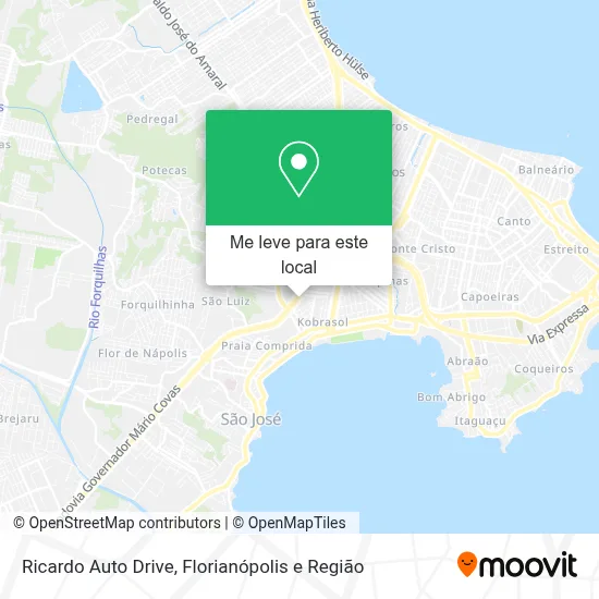 Ricardo Auto Drive mapa