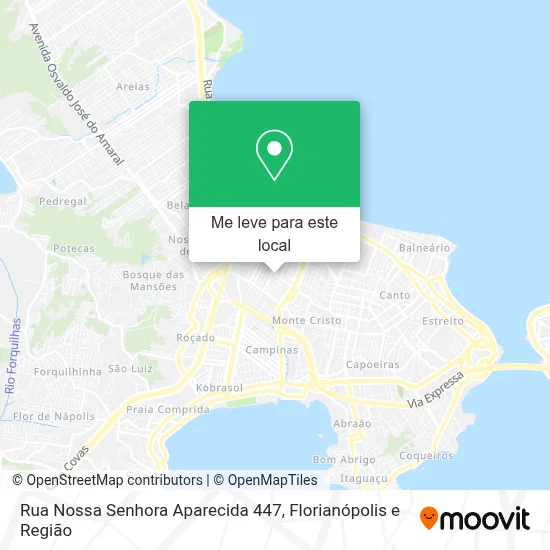 Rua Nossa Senhora Aparecida 447 mapa