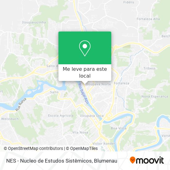 NES - Nucleo de Estudos Sistêmicos mapa