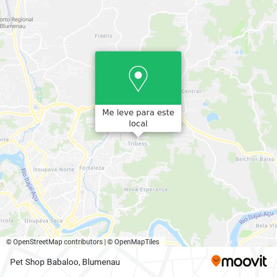 Pet Shop Babaloo mapa