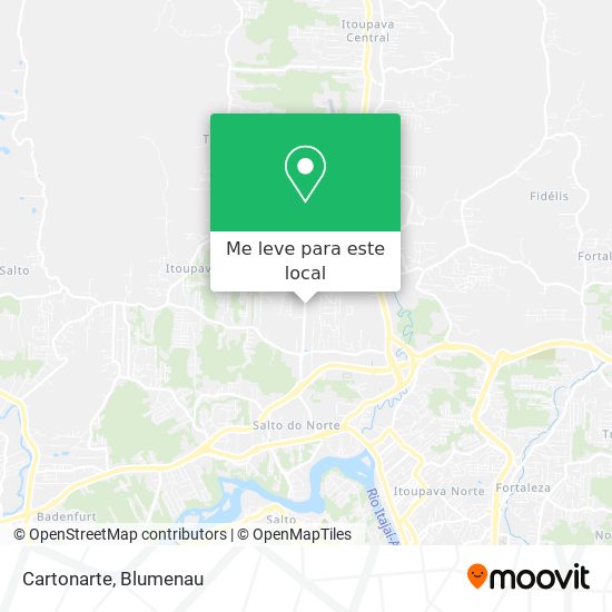 Cartonarte mapa